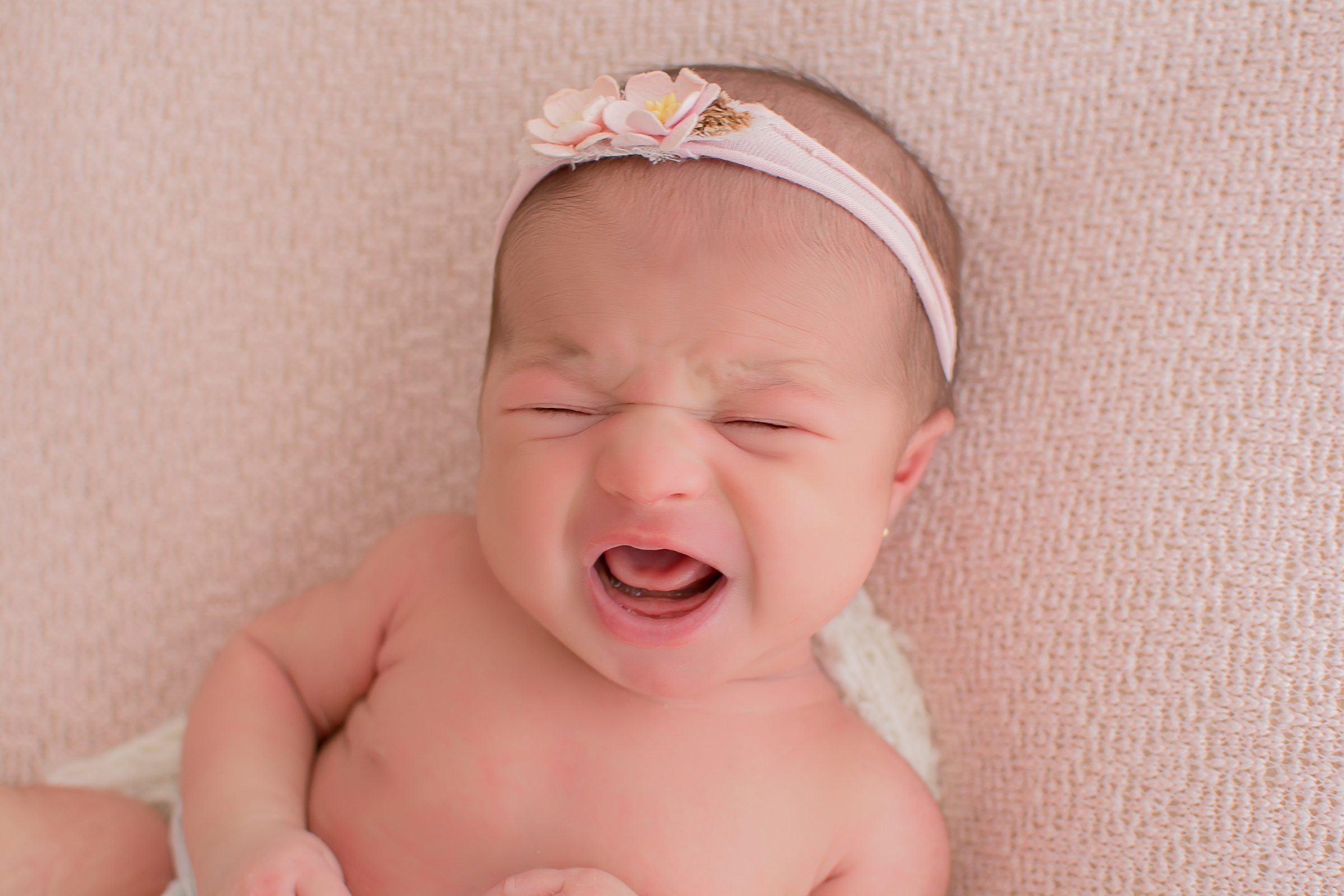 Foto de ROSELAINE WAMMES DURAO 15